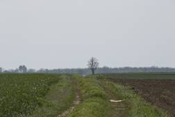 2 km-re...