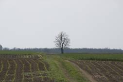 1 km-re...