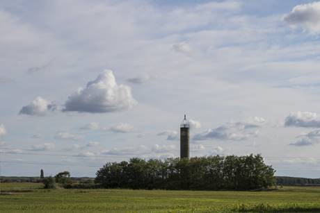 A torony krli ligetes erd