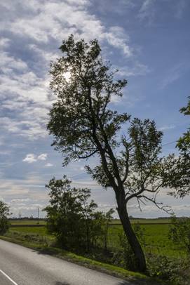 Egyre napfnyesebb id