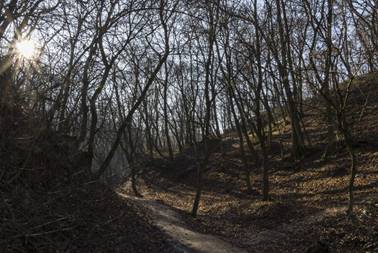 Szikr�z� napf�ny