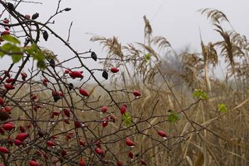 Csuda sz�p r�szlet