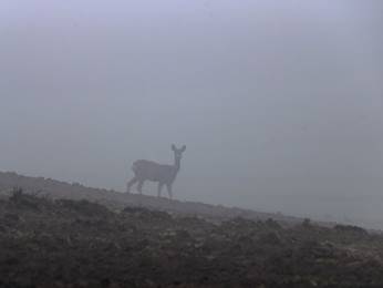 Ki ez az �r�lt ember?