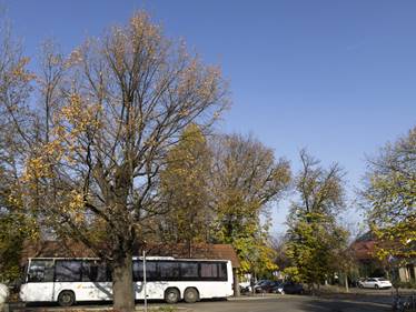 Hangulatos keceli buszv�r�