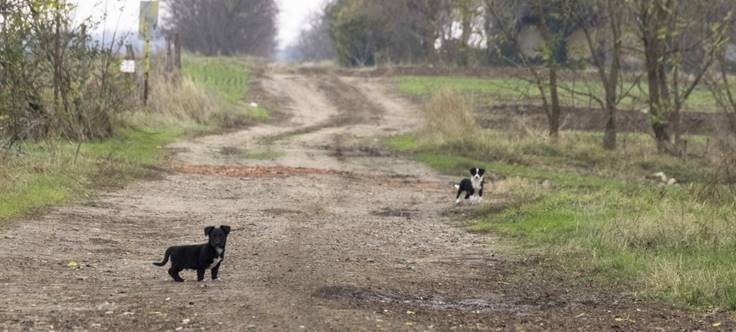 Ism�t a �f�ld�n j�rva�