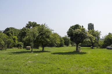 A volt tborhely