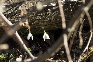 V�gre j�n a tavasz!