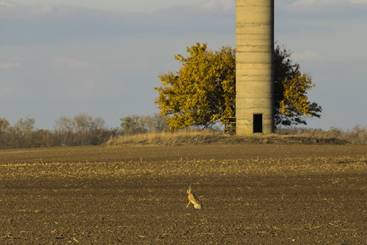 A fogad�somra �rkez� ny�l