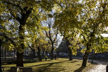 A lelkem is ragyogott