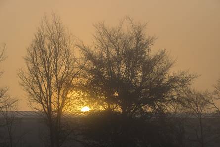 Narancsosra sz�nezett t�j