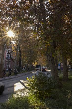 F�kkal teli f�utca