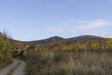 A tvoli geodziai tornyot