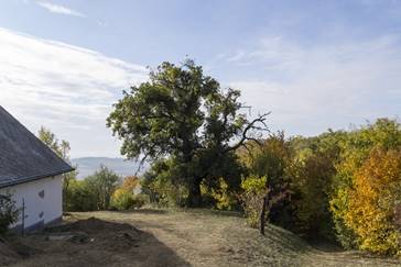 Egy hangulatos tanya