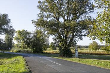 �tsz�li kereszt