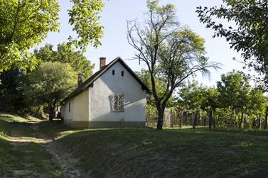 Gurghegyi prshzak