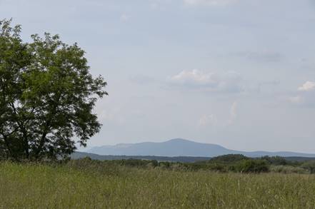 Visszatekints