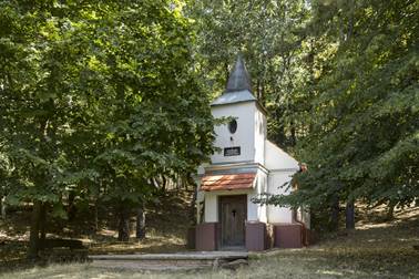 ...ragyogva v�rja az ide �rkez� v�ndort