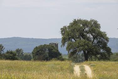 Rom a ligetes t�jban