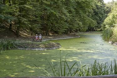 Pihen�s a kis szigeten