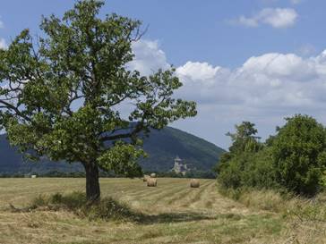 A sz�ps�ges Somosk�i v�r