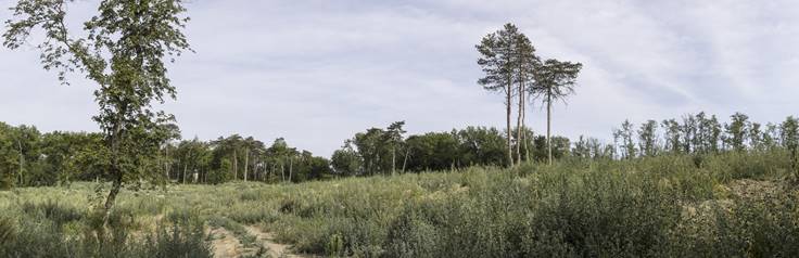 A 2024-es vihar eredm�nye