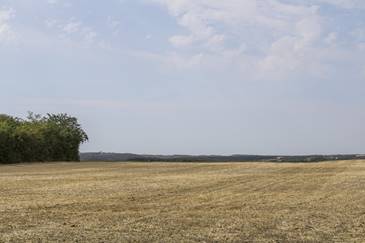 A dimbes-dombos t�j